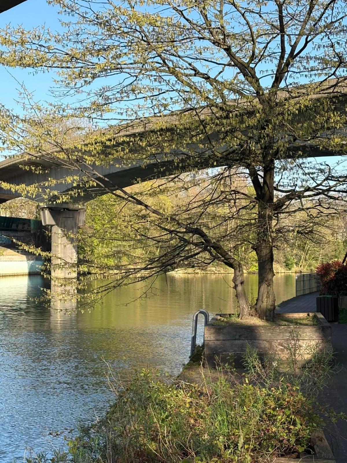 Escale-Marne Fr - 102 - Free Parking - Free Luggage Storage - All Equipped - Linen Included - Washing Machine - 10Mn Walk Metro 8 - Rer A - Panoramic View - From 1 To 4 Guests Maisons-Alfort Bagian luar foto